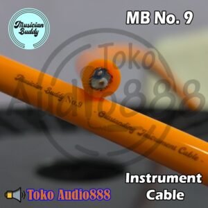 Musician Buddy M09