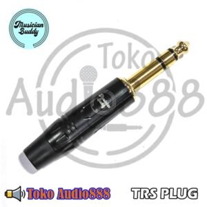 Musician Buddy TRS