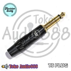 Musician Buddy TS